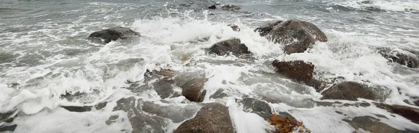 Baltské Moře Během Bouře Kameny Vlny Voda Šplouchají Zblízka Pohled — Stock fotografie