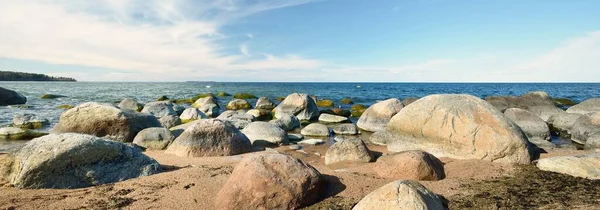 Rotsachtige Kust Van Oostzee Oude Stenen Van Dichtbij Lente Kasmu — Stockfoto