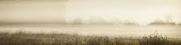 日の出の朝の霧の雲の中に黄金の国のフィールドと落葉樹林 背景にはツリーシルエット 暖かい日差し 牧歌的な田園風景 — ストック写真