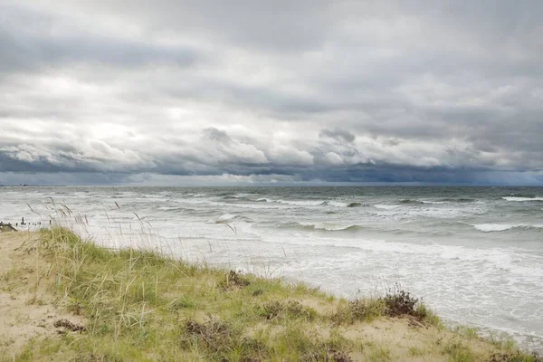 Baltic Sea Shore Beach Storm Sand Dunes Dune Grass Dramatic — Stockfoto