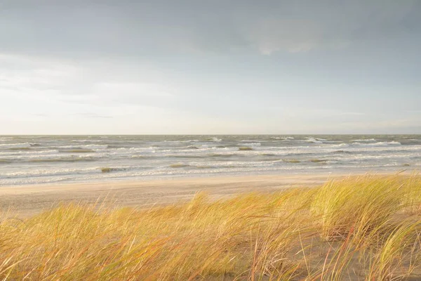 Pobřeží Baltského Moře Písečné Duny Západu Slunce Jasná Obloha Zářící — Stock fotografie