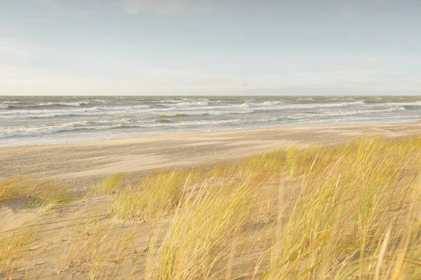 Baltık kıyıları (kum tepeleri) fırtınadan sonra gün batımında. Açık gökyüzü, parlayan bulutlar, rüzgar. Sonbahar manzarası. Doğa, çevre koruma, ekoloji, eko-turizm, yerel seyahat