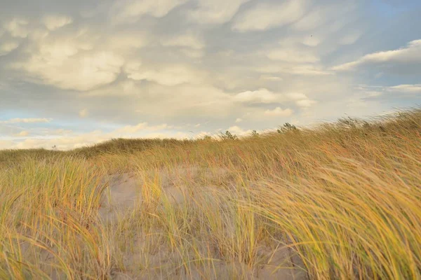 Baltic Sea Shore Sunset Beach Sand Dunes Dune Grass Clear — Foto de Stock