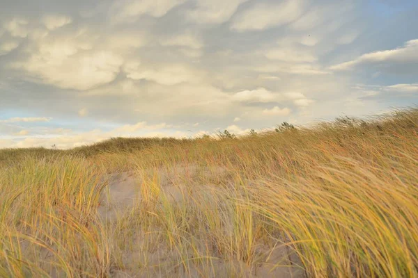 Baltic Sea Shore Sunset Beach Sand Dunes Dune Grass Clear — Stock Photo, Image