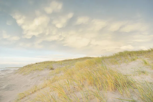 Gün batımında Baltık kıyısı. Kumsal, kum tepeleri, kum tepecikleri. Açık günbatımı gökyüzü, parlayan bulutlar. Idyllic manzara. Doğa, tatiller, eğlence. eko turizm