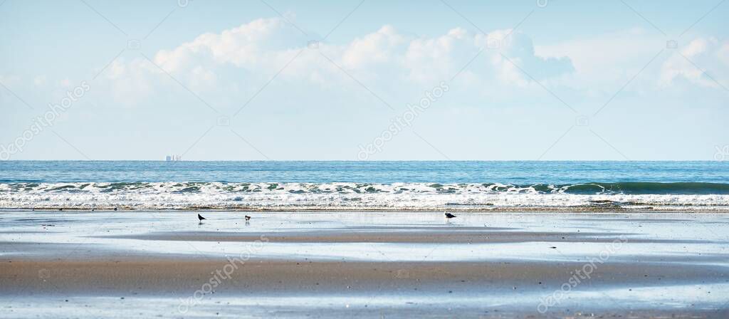 A view from the sandy coast of bay of Douarnenez, seagulls close-up. Clear blue sky. Reflections on the water. Waves and water splashes. Brittany, France. Travel destinations, leisure activity theme