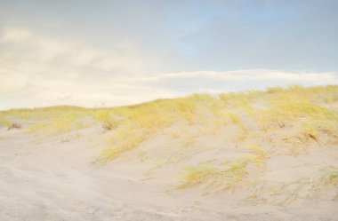 Gün batımında Baltık kıyısı. Kumsal, kum tepeleri, kum tepecikleri. Açık günbatımı gökyüzü, parlayan bulutlar. Idyllic manzara. Doğa, tatiller, eğlence. eko turizm