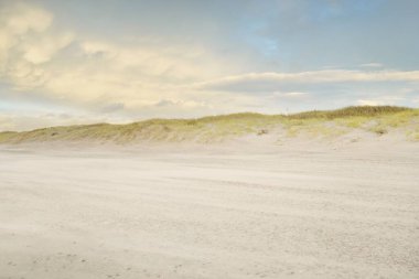 Gün batımında Baltık kıyısı. Kumsal, kum tepeleri, kum tepecikleri. Açık günbatımı gökyüzü, parlayan bulutlar. Idyllic manzara. Doğa, tatiller, eğlence. eko turizm