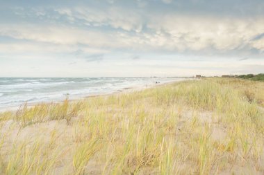 Baltık kıyıları (kum tepeleri) fırtınadan sonra gün batımında. Açık gökyüzü, parlayan bulutlar, rüzgar. Sonbahar manzarası. Doğa, çevre koruma, ekoloji, eko-turizm, yerel seyahat