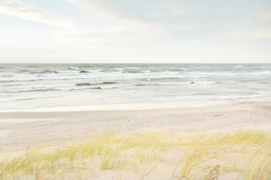 Baltık kıyıları (kum tepeleri) fırtınadan sonra gün batımında. Açık gökyüzü, parlayan bulutlar, rüzgar. Sonbahar manzarası. Doğa, çevre koruma, ekoloji, eko-turizm, yerel seyahat