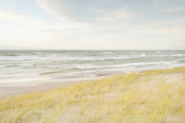 Baltık kıyıları (kum tepeleri) fırtınadan sonra gün batımında. Açık gökyüzü, parlayan bulutlar, rüzgar. Sonbahar manzarası. Doğa, çevre koruma, ekoloji, eko-turizm, yerel seyahat
