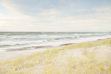 Baltık kıyıları (kum tepeleri) fırtınadan sonra gün batımında. Açık gökyüzü, parlayan bulutlar, rüzgar. Sonbahar manzarası. Doğa, çevre koruma, ekoloji, eko-turizm, yerel seyahat