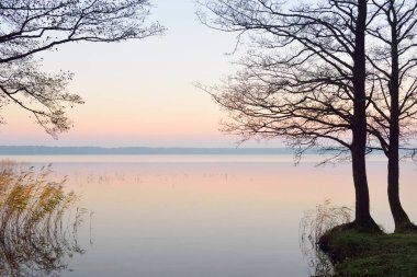 Orman Gölü (nehir) gün doğumunda. Yumuşak güneş ışığı, sisler, suya yansıyan yansımalar. Idyllic sonbahar manzarası. Saf doğa, eko-turizm, yürüyüş, keşif.