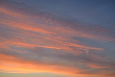 Açık mavi gökyüzü. Pembe ve altın renkli bulutlar. Gün doğumu. Dramatik bulut manzarası. Sanat, meteoroloji, cennet, umut, barış, grafik kaynakları, resimli panoramik manzara