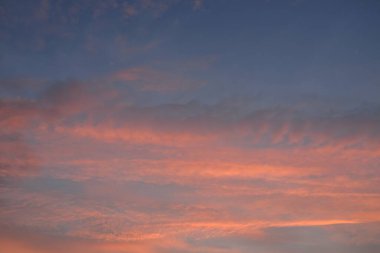 Açık mavi gökyüzü. Pembe ve altın renkli bulutlar. Gün doğumu. Dramatik bulut manzarası. Sanat, meteoroloji, cennet, umut, barış, grafik kaynakları, resimli panoramik manzara