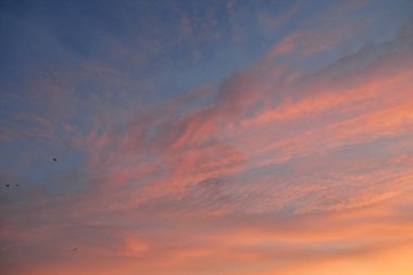 Açık mavi gökyüzü. Pembe ve altın renkli bulutlar. Gün doğumu. Dramatik bulut manzarası. Sanat, meteoroloji, cennet, umut, barış, grafik kaynakları, resimli panoramik manzara