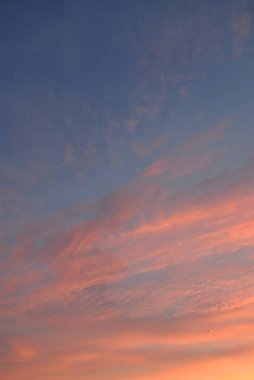Açık mavi gökyüzü. Pembe ve altın renkli bulutlar. Gün doğumu. Dramatik bulut manzarası. Sanat, meteoroloji, cennet, umut, barış, grafik kaynakları, resimli panoramik manzara