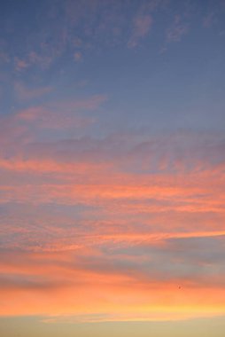 Açık mavi gökyüzü. Pembe ve altın renkli bulutlar. Gün doğumu. Dramatik bulut manzarası. Sanat, meteoroloji, cennet, umut, barış, grafik kaynakları, resimli panoramik manzara