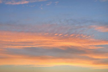 Açık mavi gökyüzü. Pembe ve altın renkli bulutlar. Gün doğumu. Dramatik bulut manzarası. Sanat, meteoroloji, cennet, umut, barış, grafik kaynakları, resimli panoramik manzara
