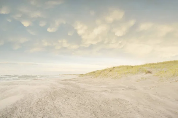 Baltic Sea Shore Sunset Beach Sand Dunes Dune Grass Clear — Foto Stock
