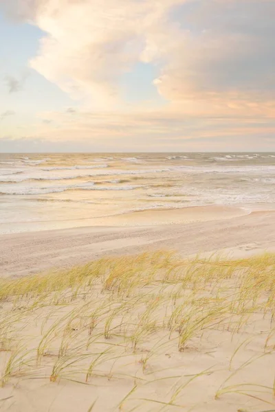 Baltic Sea Shore Sunset Beach Sand Dunes Dune Grass Clear — стоковое фото