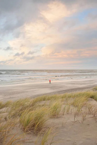 Baltic Sea Shore Sunset Beach Sand Dunes Clear Sunset Sky — Foto Stock