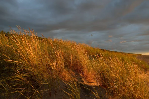 Dramatic Sunset Sky Storm Clouds Baltic Sea Shore Dune Grass — Stock Photo, Image