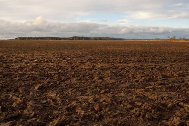 Tarım tarlası, toprak dokusu. Tarım ve gıda endüstrisi, alternatif üretim, gübre, sulama, çevresel hasar ve koruma kavramları