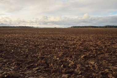 Tarım tarlası, toprak dokusu. Tarım ve gıda endüstrisi, alternatif üretim, gübre, sulama, çevresel hasar ve koruma kavramları