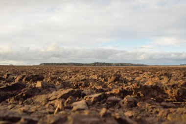 Tarım tarlası, toprak dokusu. Tarım ve gıda endüstrisi, alternatif üretim, gübre, sulama, çevresel hasar ve koruma kavramları