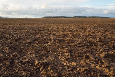Tarım tarlası, toprak dokusu. Tarım ve gıda endüstrisi, alternatif üretim, gübre, sulama, çevresel hasar ve koruma kavramları