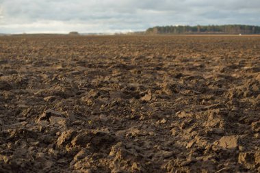 Tarım tarlası, toprak dokusu. Tarım ve gıda endüstrisi, alternatif üretim, gübre, sulama, çevresel hasar ve koruma kavramları