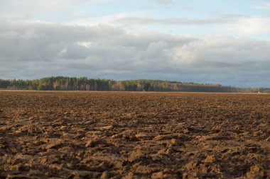 Tarım tarlası, toprak dokusu. Tarım ve gıda endüstrisi, alternatif üretim, gübre, sulama, çevresel hasar ve koruma kavramları