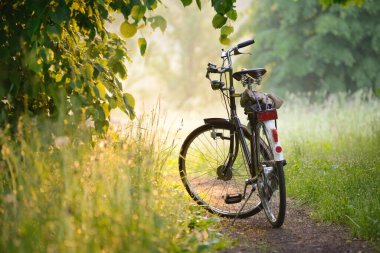 Bicycle parked on a forest road at sunrise. Soft sunlight, sunbeams, fog. Idyllic rural scene. Leisure activity, recreation. ecotourism, hiking. sport, cycling, healthy lifestyle, exploring concepts