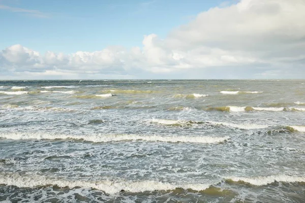 Fırtınadan sonra dramatik günbatımı bulutları altında Baltık Denizi. Dalgalar, su sıçratma. Destansı deniz manzarası. 40-50 deniz mili rüzgar gücü. Kasırga, fırtına, sert hava, meteoroloji, ekoloji, iklim değişikliği