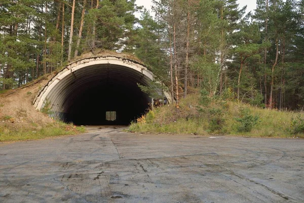 Old Bunker Tunnel Evergreen Pine Forest Latvia Europe Landmarks Architecture — Stock Photo, Image