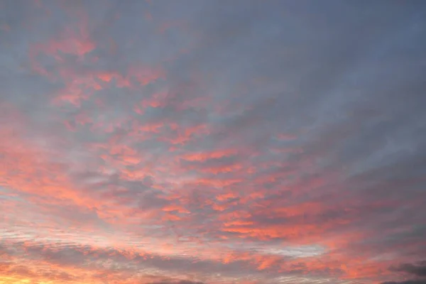 Clear Blue Sky Glowing Pink Golden Cirrus Cumulus Clouds Sunrise — 스톡 사진