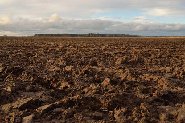 Tarım tarlası, toprak dokusu. Tarım ve gıda endüstrisi, alternatif üretim, gübre, sulama, çevresel hasar ve koruma kavramları