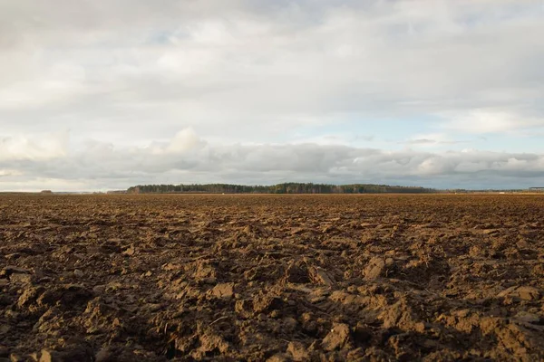 Agricultural Plowed Field Soil Texture Farm Food Industry Alternative Production —  Fotos de Stock