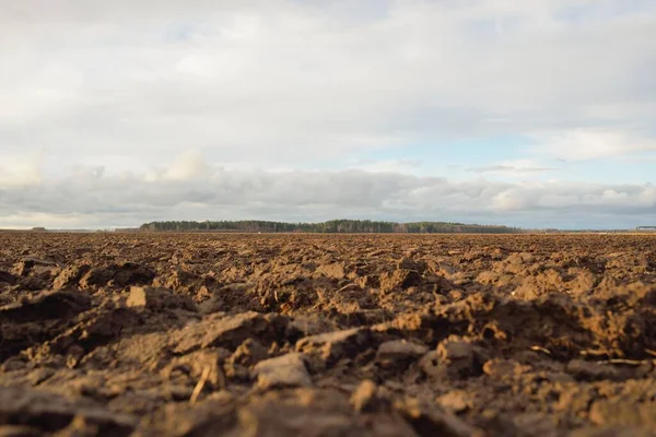 Tarım tarlası, toprak dokusu. Tarım ve gıda endüstrisi, alternatif üretim, gübre, sulama, çevresel hasar ve koruma kavramları