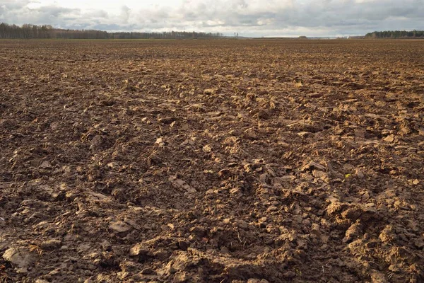 Agricultural Plowed Field Soil Texture Farm Food Industry Alternative Production — 스톡 사진