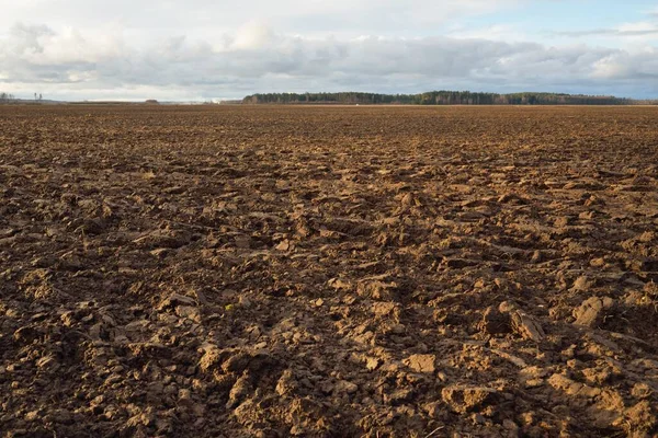 Tarım tarlası, toprak dokusu. Tarım ve gıda endüstrisi, alternatif üretim, gübre, sulama, çevresel hasar ve koruma kavramları