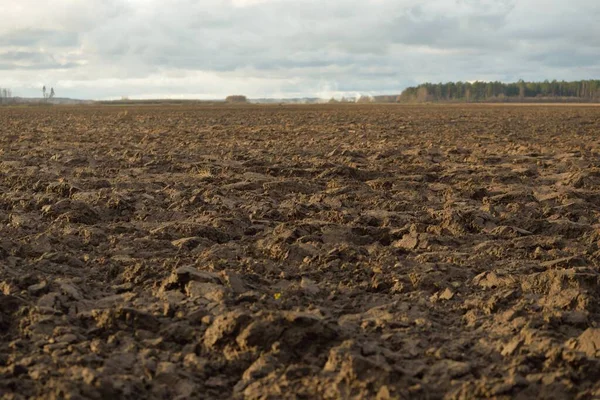 Tarım tarlası, toprak dokusu. Tarım ve gıda endüstrisi, alternatif üretim, gübre, sulama, çevresel hasar ve koruma kavramları