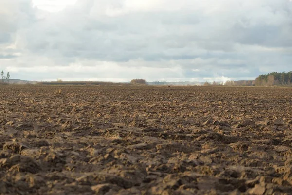 Tarım tarlası, toprak dokusu. Tarım ve gıda endüstrisi, alternatif üretim, gübre, sulama, çevresel hasar ve koruma kavramları