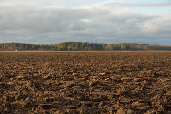 Tarım tarlası, toprak dokusu. Tarım ve gıda endüstrisi, alternatif üretim, gübre, sulama, çevresel hasar ve koruma kavramları