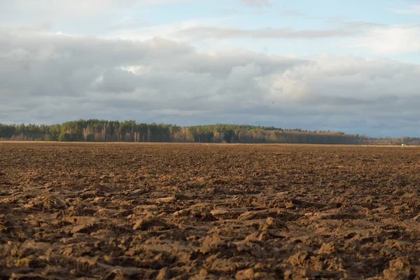 Tarım tarlası, toprak dokusu. Tarım ve gıda endüstrisi, alternatif üretim, gübre, sulama, çevresel hasar ve koruma kavramları