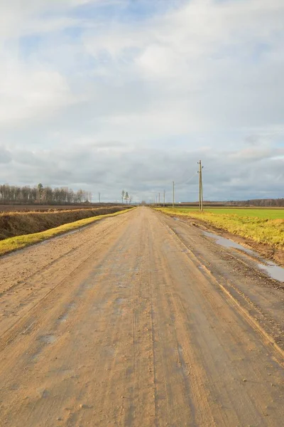 Gün batımında tarım arazisi ve ormandan geçen köy yolu. Fırtınadan sonra dramatik bir gökyüzü. Sonbaharın başında. Yumuşak akşam güneşi. Tatiller, seyahatler, araba kullanma, macera