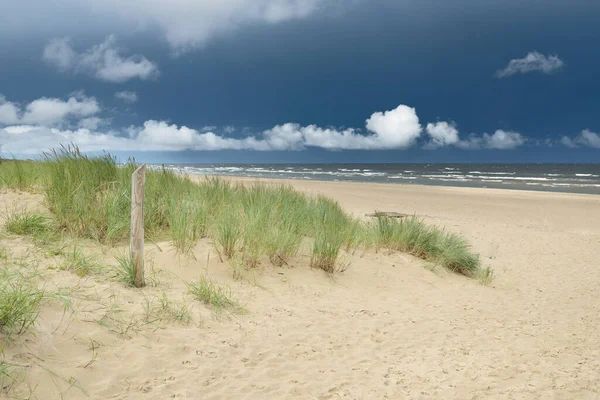 Güneşli bir günde Baltık Denizi kıyısı. Kumsal, kum tepeleri. Fırtınadan sonra dramatik gökyüzü, parlayan bulutlar.. Doğa, tatiller, eğlence. eko turizm