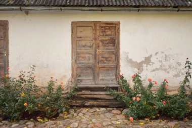 Kırsal ahşap kapılı ve pencereli geleneksel taş ev. Çiçek açan güller, güzel bahçeler. Idyllic kırsal kesim. Seyahat yerleri, yerel turizm, şehir simgeleri, bahçe düzenlemeleri, peyzaj.