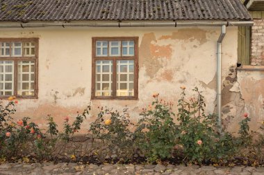 Kırsal ahşap kapılı ve pencereli geleneksel taş ev. Çiçek açan güller, güzel bahçeler. Idyllic kırsal kesim. Seyahat yerleri, yerel turizm, şehir simgeleri, bahçe düzenlemeleri, peyzaj.